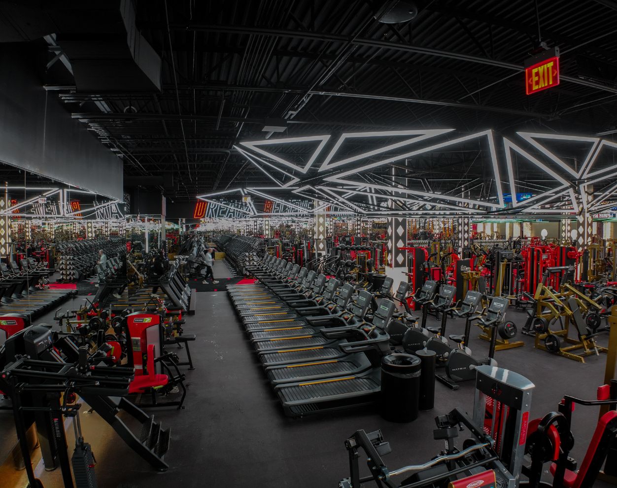 Cardio training zone with rows of treadmills and conditioning equipment at Absolute Recomp Gyms Frisco